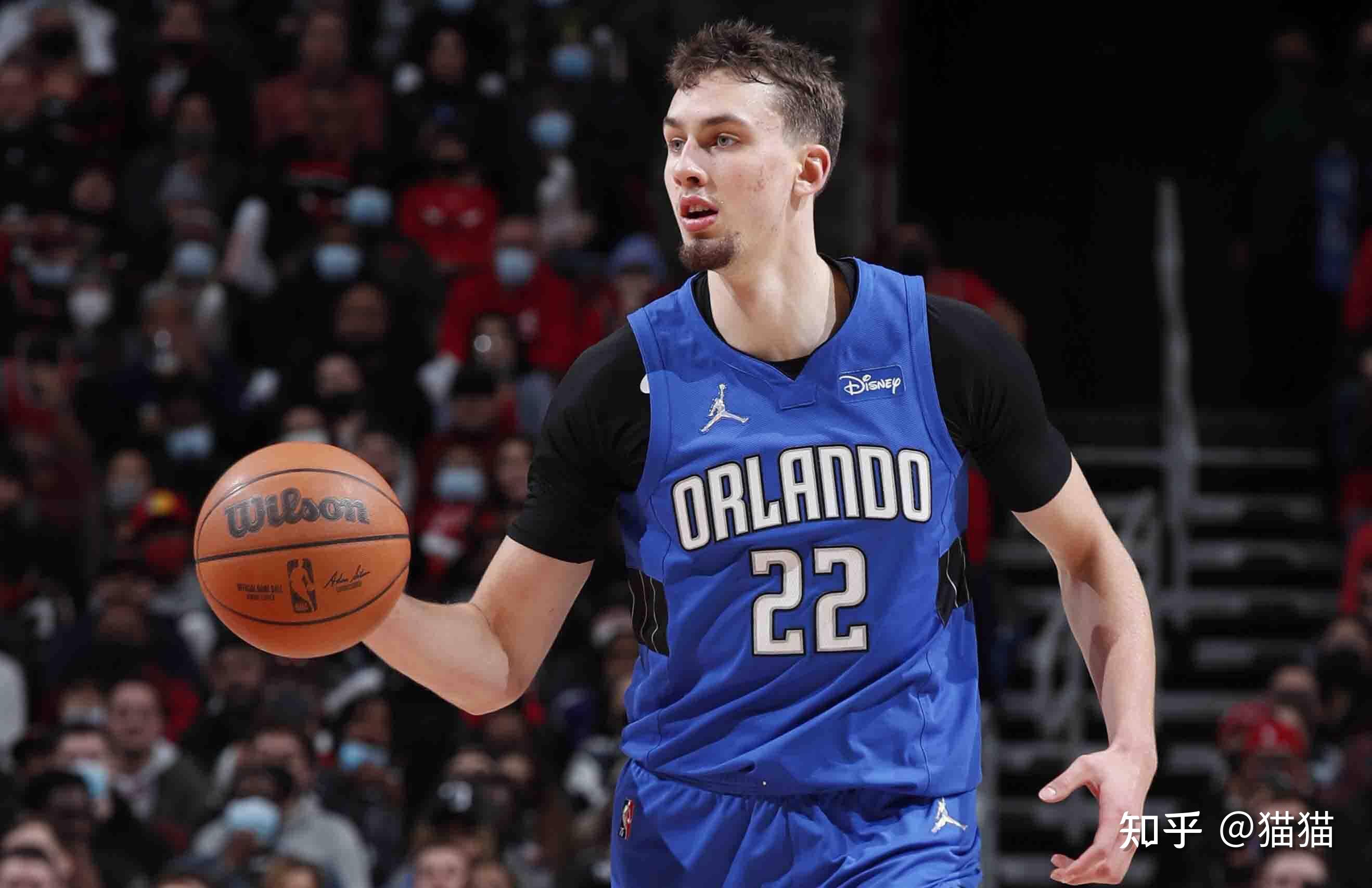 者的关注 者的关注