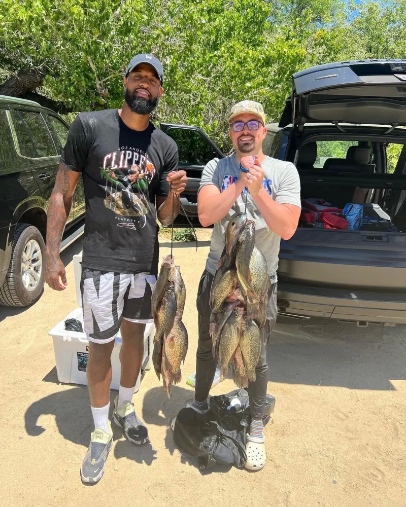 狮的重要传 狮的重要传