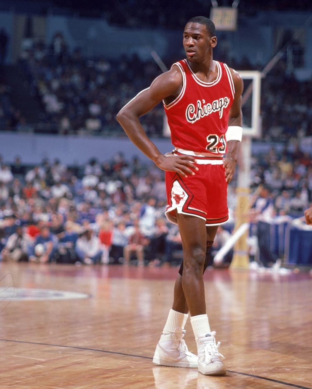 高了学生的 高了学生的